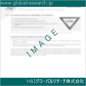 グローバルリサーチ調査資料のイメージ